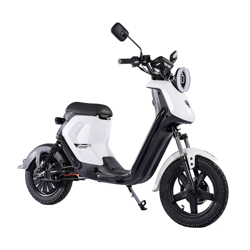 BEZIOR XIAONIU B 20" Off-Road Electric Bike 1500W Motor 48V 20Ah Battery