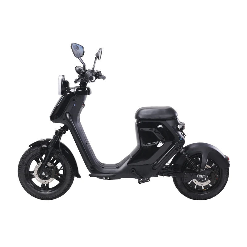 BEZIOR XIAONIU B 20" Off-Road Electric Bike 1500W Motor 48V 20Ah Battery