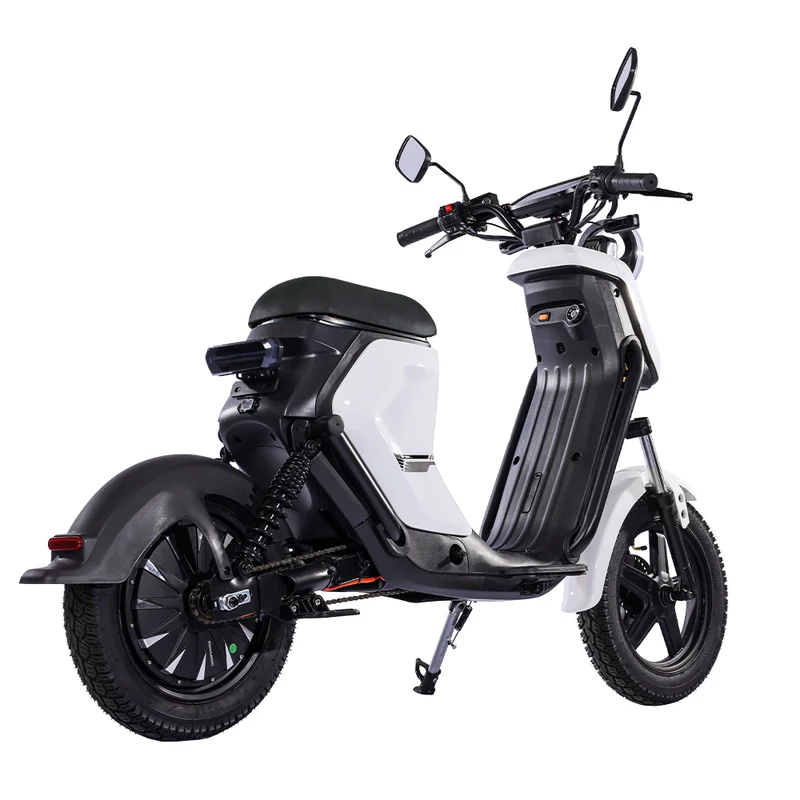 BEZIOR XIAONIU B 20" Off-Road Electric Bike 1500W Motor 48V 20Ah Battery