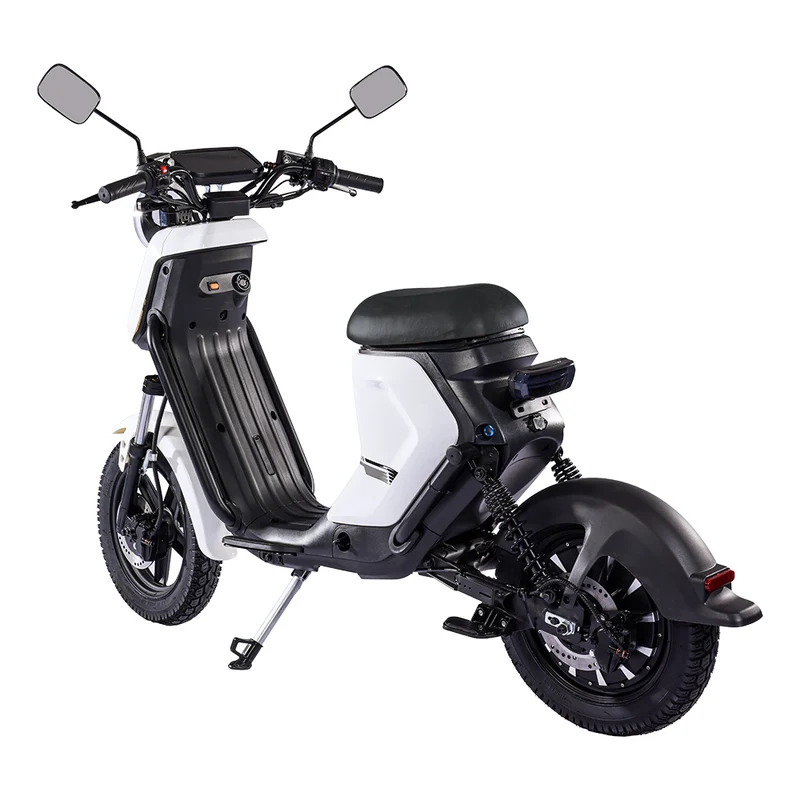 BEZIOR XIAONIU B 20" Off-Road Electric Bike 1500W Motor 48V 20Ah Battery
