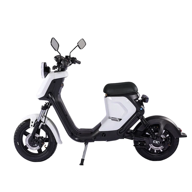 BEZIOR XIAONIU B 20" Off-Road Electric Bike 1500W Motor 48V 20Ah Battery