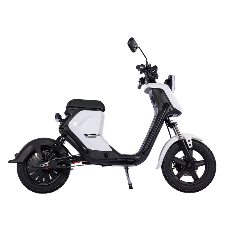 BEZIOR XIAONIU B 20" Off-Road Electric Bike 1500W Motor 48V 20Ah Battery