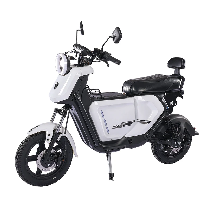 BEZIOR XIAONIU A 12" Off-Road Electric Bike 1500W Motor 48V 20Ah Battery