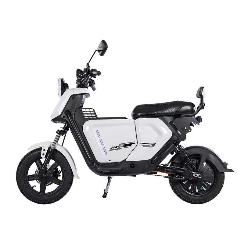 BEZIOR XIAONIU A 12" Off-Road Electric Bike 1500W Motor 48V 20Ah Battery