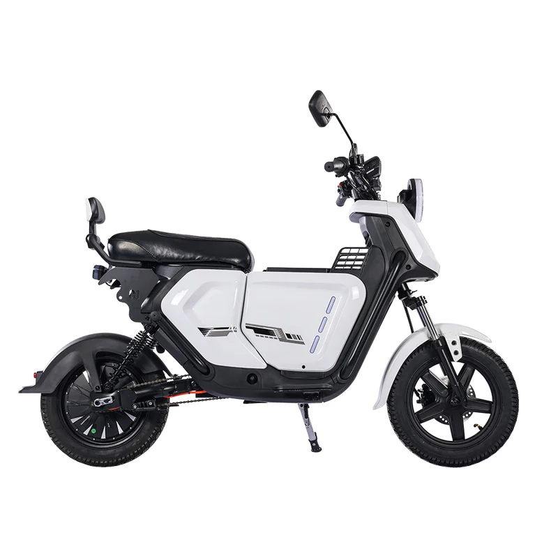 BEZIOR XIAONIU A 12" Off-Road Electric Bike 1500W Motor 48V 20Ah Battery