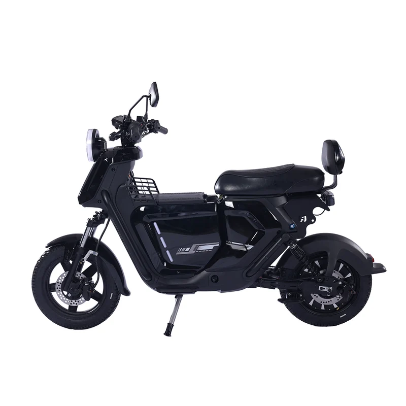 BEZIOR XIAONIU A 12" Off-Road Electric Bike 1500W Motor 48V 20Ah Battery