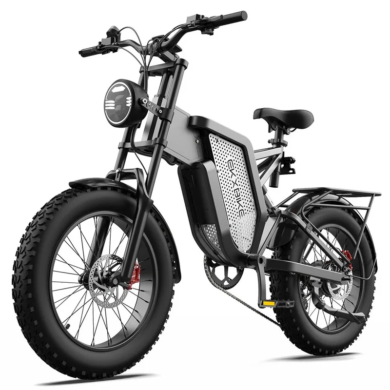 EKXBIKE X20 20" Off Road Electric Bike 2000W Motor 48V 35Ah Battery