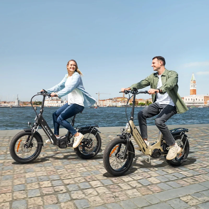 ENGWE L20 3.0 Pro 20" Step-Thru Electric Bike 250W Motor 48V 15Ah Battery