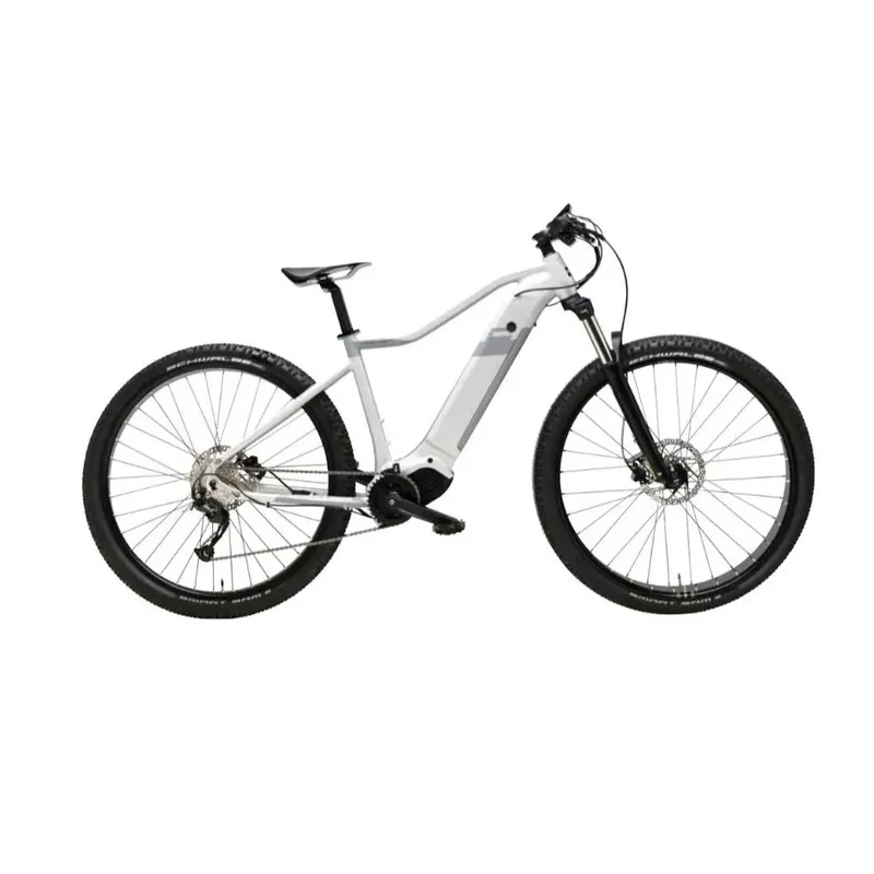EBIKE RAYON 29'' Batteria 36V-20 AH 720WH | 250Watt | CAMBIO SHIMANO ALIVIO 9V | COMANDI SHIMANO M370 9V | RUOTE MTB DISC STAINLESS SPOKE