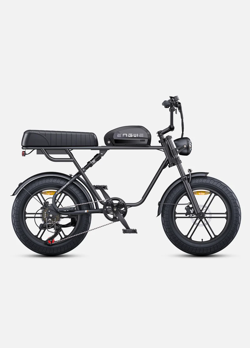 ENGWE M1 | Bicicletta Elettrica per due passeggeri | Versatile | Motore 250W | 48V 15.6Ah/15.6Ah+13Ah | GARANZIA ITALIANA