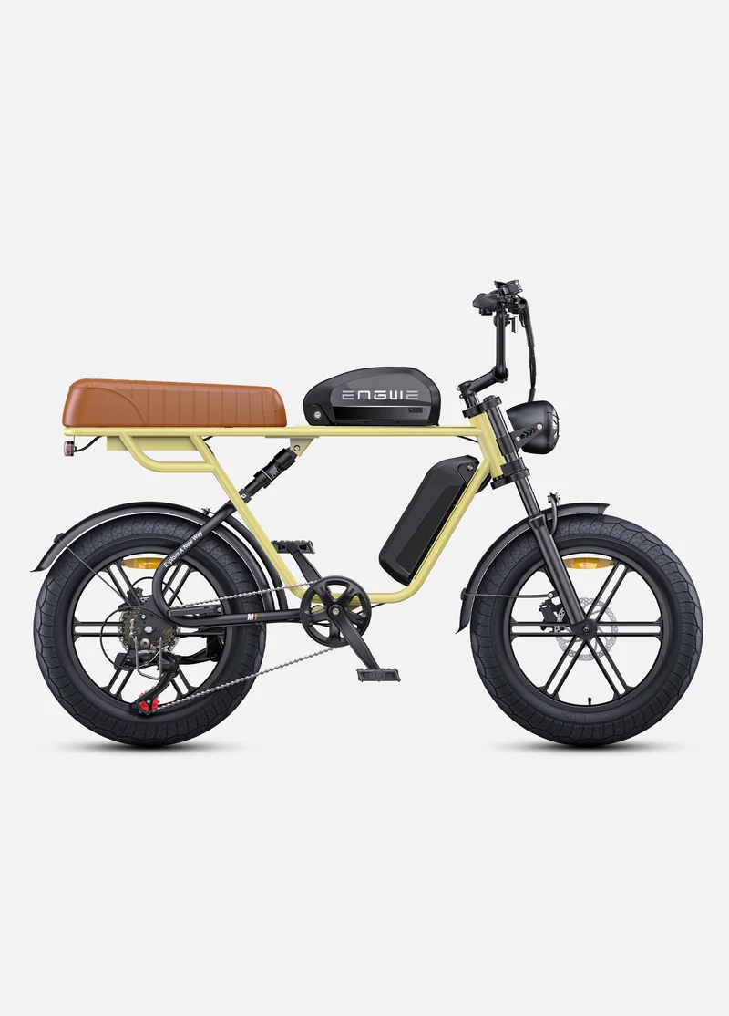 ENGWE M1 | Bicicletta Elettrica per due passeggeri | Versatile | Motore 250W | 48V 15.6Ah/15.6Ah+13Ah | GARANZIA ITALIANA