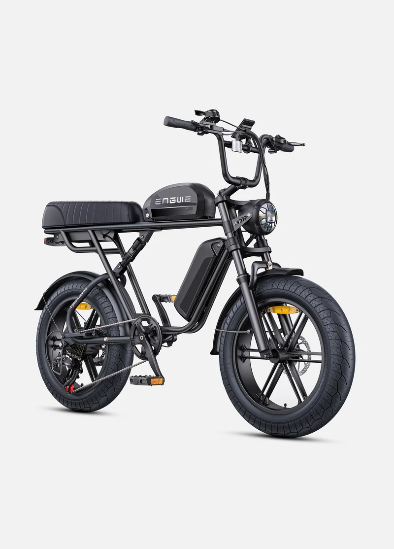 ENGWE M1 | Bicicletta Elettrica per due passeggeri | Versatile | Motore 250W | 48V 15.6Ah/15.6Ah+13Ah | GARANZIA ITALIANA