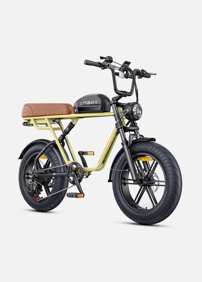 ENGWE M1 | Bicicletta Elettrica per due passeggeri | Versatile | Motore 250W | 48V 15.6Ah/15.6Ah+13Ah | GARANZIA ITALIANA