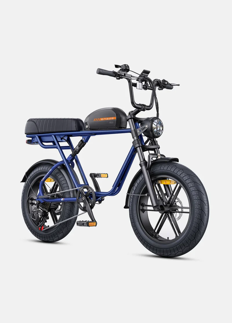 ENGWE M1 | Bicicletta Elettrica per due passeggeri | Versatile | Motore 250W | 48V 15.6Ah/15.6Ah+13Ah | GARANZIA ITALIANA