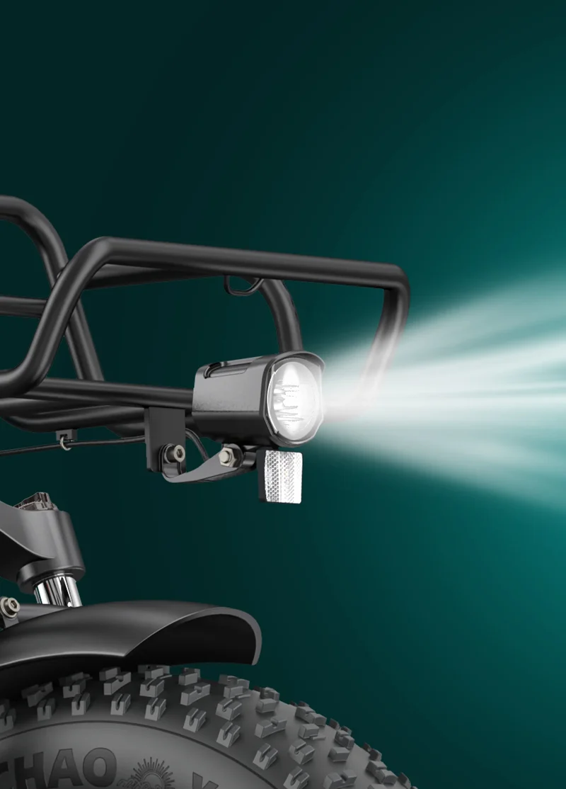 ENGWE L20 Boost | Bicicletta Elettrica | Versatile | Motore 250W | 48V 624wh | Sensore di coppia | 25km/h | Autonomia 126Km| GARANZIA ITALIANA