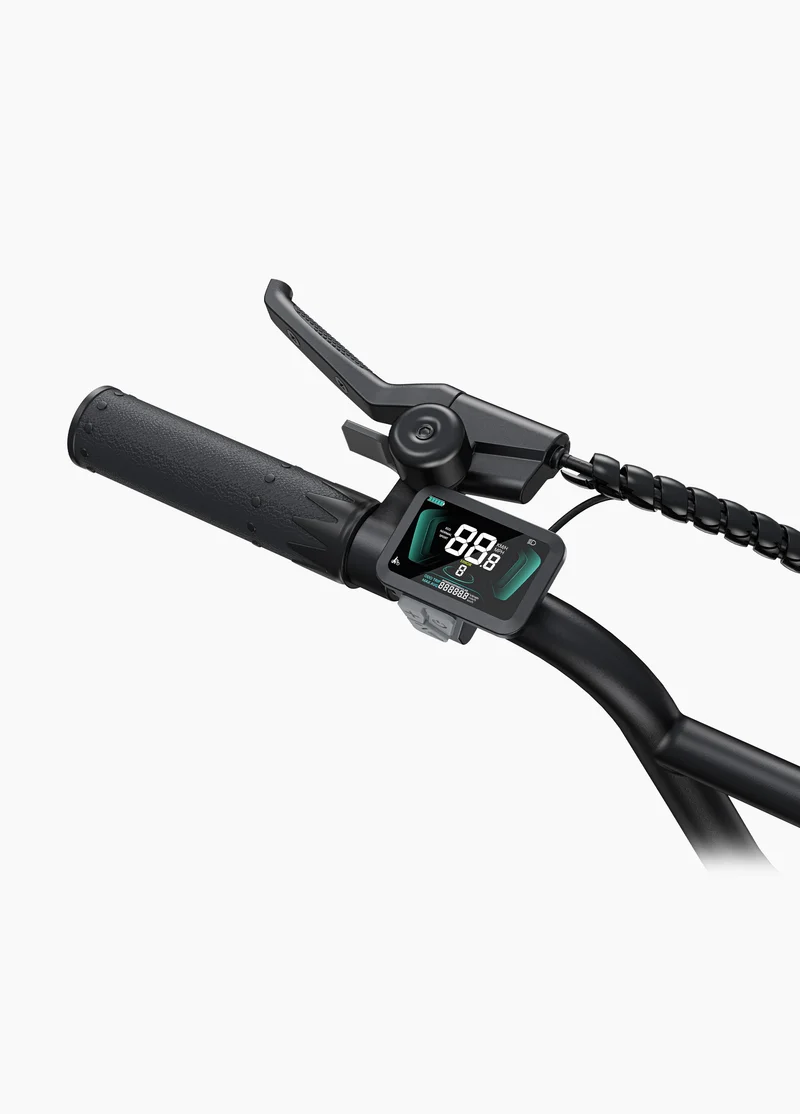 ENGWE L20 Boost | Bicicletta Elettrica | Versatile | Motore 250W | 48V 624wh | Sensore di coppia | 25km/h | Autonomia 126Km| GARANZIA ITALIANA