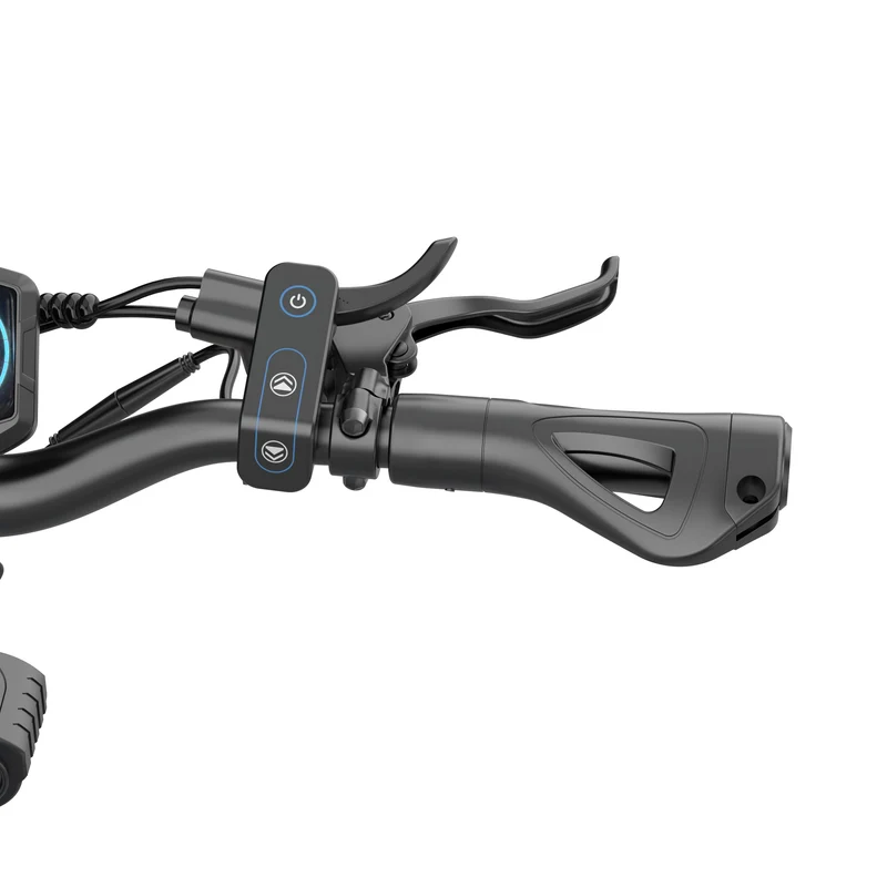 IWAFO IS2Pro 10" Off-Road Electric Scooter 2*1000W Dual Motors 52V 20Ah Battery