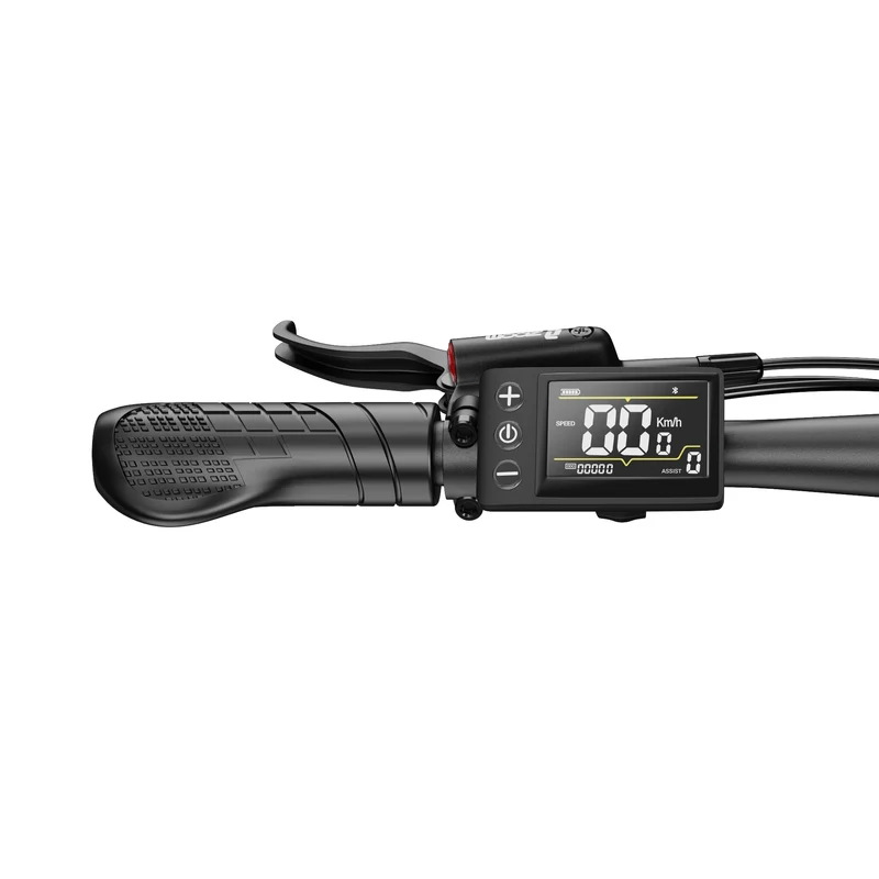 DUOTTS C29 Max 29" Mountain Electric Bike 960W Peak Motor 48V 18Ah Battery