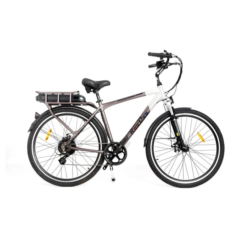Roodog Tourer Electric Bike
