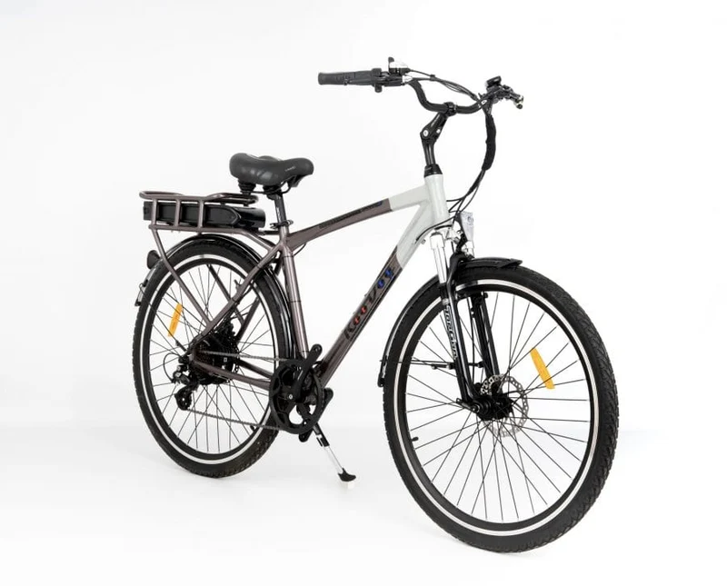 Roodog Tourer Electric Bike