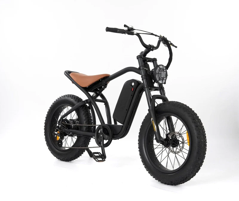 Roodog Rogue Electric Bike