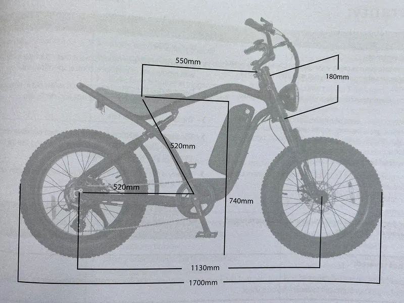 Roodog Rogue Electric Bike