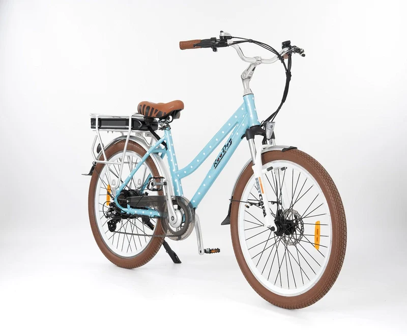 Roodog Polka Dot Electric bike