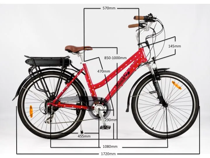 Roodog Polka Dot Electric bike