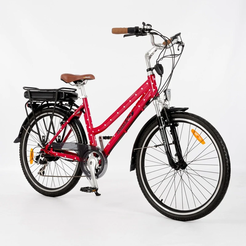 Roodog Polka Dot Electric bike