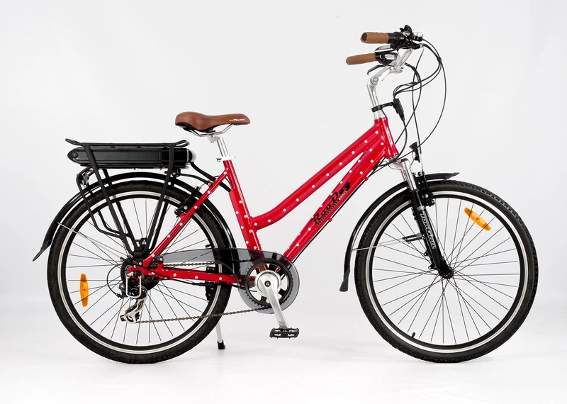Roodog Polka Dot Electric bike