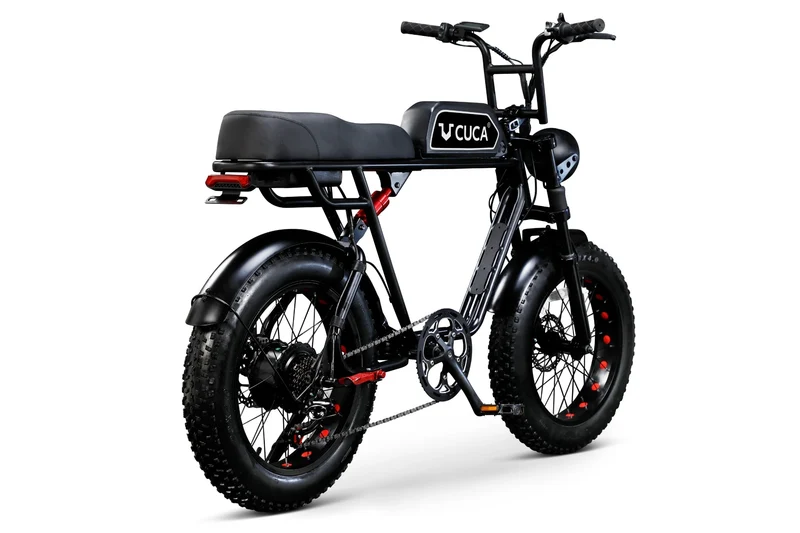 Cuca All Roads Electric Bike