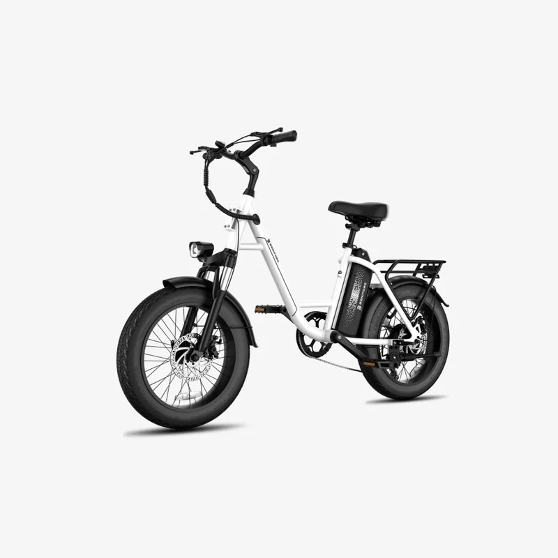 LUCKEEP C27 20" Step-Thru Cargo Electric Bike 750W(1200W Peak) Motor 48V 13Ah Battery