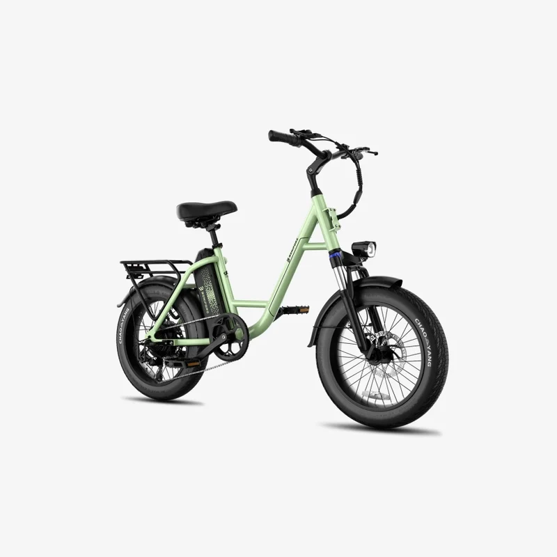 LUCKEEP C27 20" Step-Thru Cargo Electric Bike 750W(1200W Peak) Motor 48V 13Ah Battery