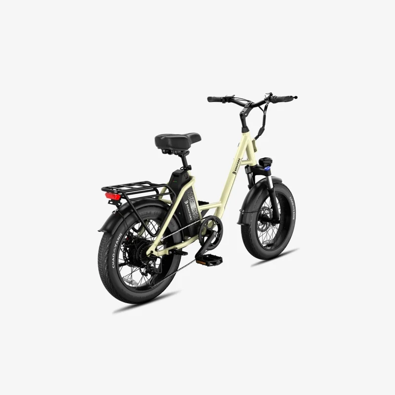 LUCKEEP C27 20" Step-Thru Cargo Electric Bike 750W(1200W Peak) Motor 48V 13Ah Battery