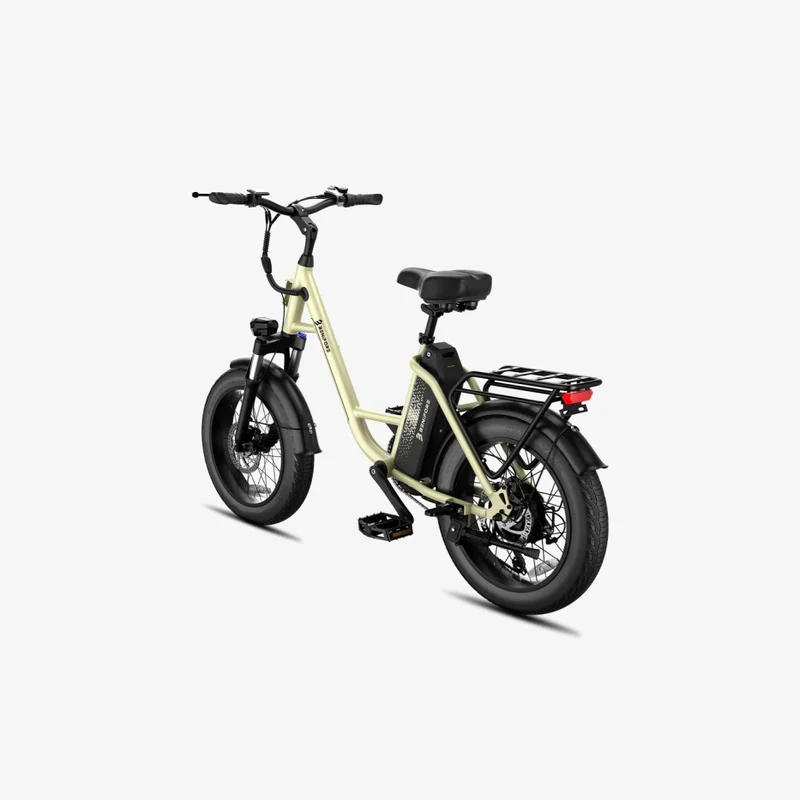 LUCKEEP C27 20" Step-Thru Cargo Electric Bike 750W(1200W Peak) Motor 48V 13Ah Battery