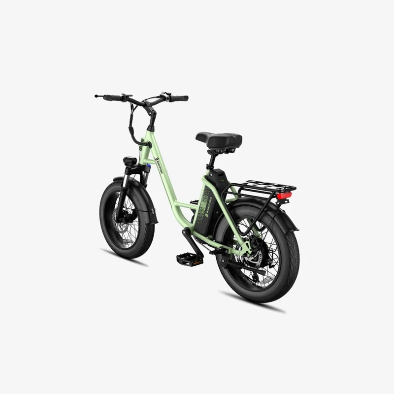 LUCKEEP C27 20" Step-Thru Cargo Electric Bike 750W(1200W Peak) Motor 48V 13Ah Battery