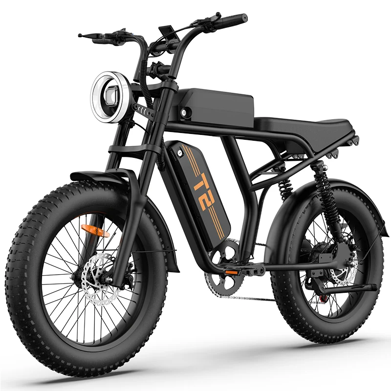 URLIFE T2 20" Off Road Electric Bike 745W Motor 48V 15.6Ah Battery (US Version)