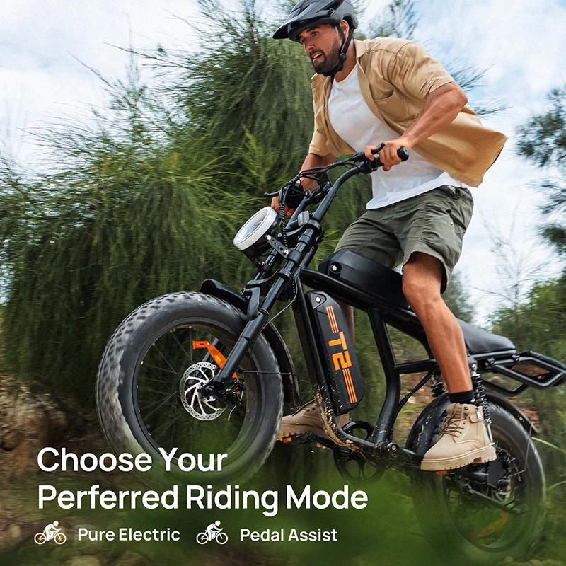 URLIFE T2 20" Off Road Electric Bike 745W Motor 48V 15.6Ah Battery (US Version)