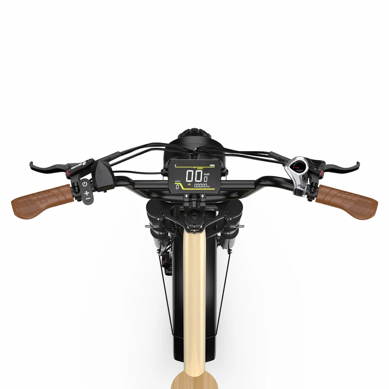 ONESPORT W77 20" Retro Electric Bike 500W Motor 48V 18Ah Battery