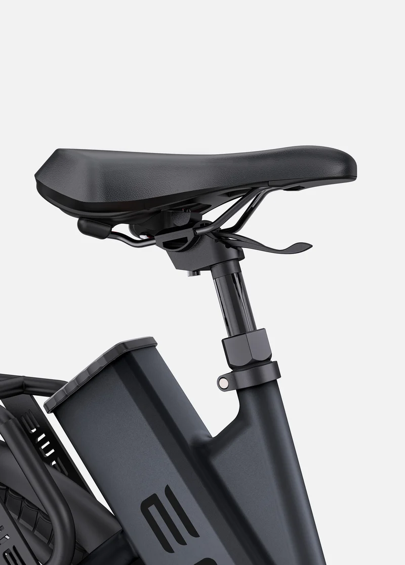 ENGWE P275 ST | Bicicletta Elettrica | Motore centrale Ananda 250W | Sensore di coppia | 36 V 19,2 Ah SAMSUNG | Autonomia 260Km| GARANZIA ITALIANA