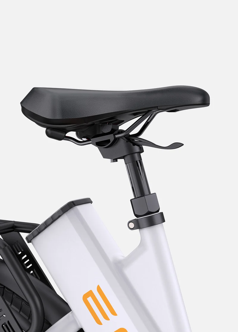 ENGWE P275 ST | Bicicletta Elettrica | Motore centrale Ananda 250W | Sensore di coppia | 36 V 19,2 Ah SAMSUNG | Autonomia 260Km| GARANZIA ITALIANA