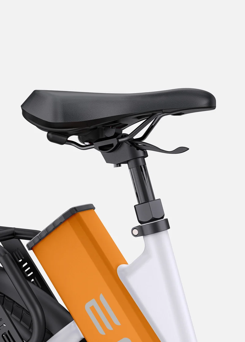 ENGWE P275 ST | Bicicletta Elettrica | Motore centrale Ananda 250W | Sensore di coppia | 36 V 19,2 Ah SAMSUNG | Autonomia 260Km| GARANZIA ITALIANA