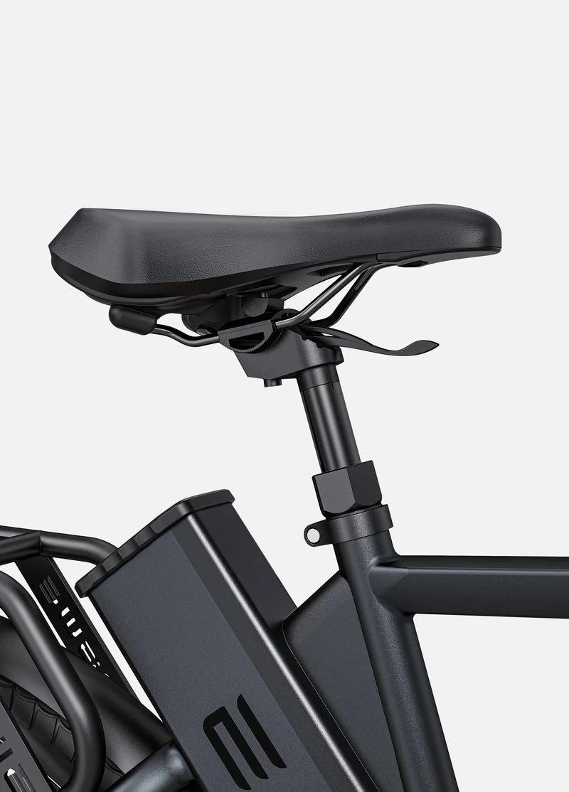 ENGWE P275 Pro | Bicicletta Elettrica | Motore centrale Bafang 250W | Sensore di coppia | 36 V 19,2 Ah SAMSUNG | Cintura in carbonio Gates | Autonomia 260Km| GARANZIA ITALIANA
