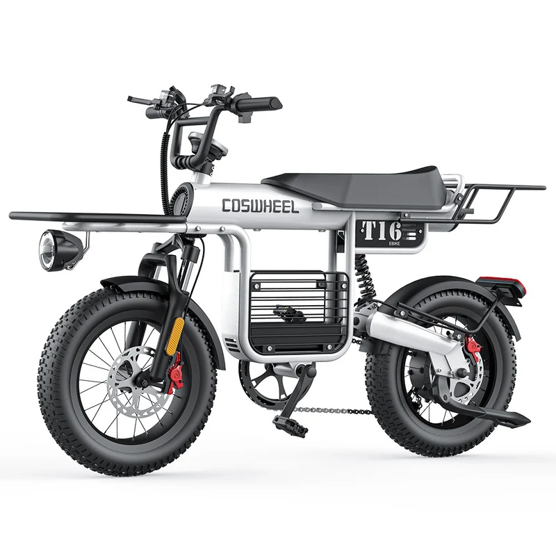 COSWHEEL T16 16" All-Terrain Electric Bike 500W Motor 48V 20Ah Battery
