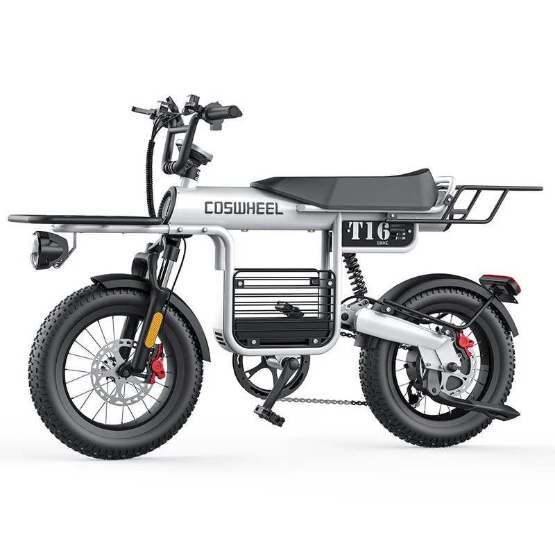 COSWHEEL T16 16" All-Terrain Electric Bike 500W Motor 48V 20Ah Battery