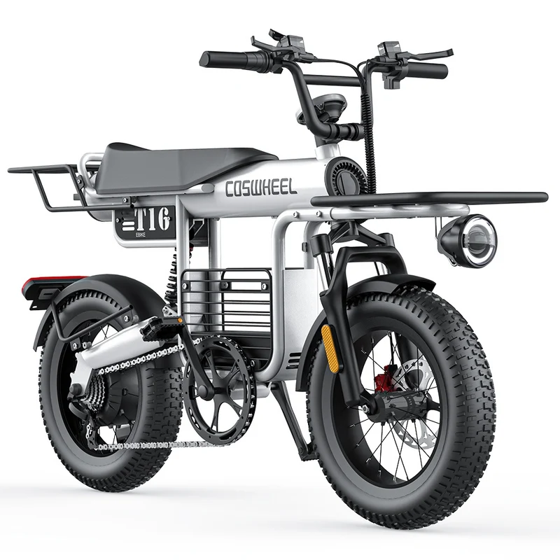 COSWHEEL T16 16" All-Terrain Electric Bike 500W Motor 48V 20Ah Battery