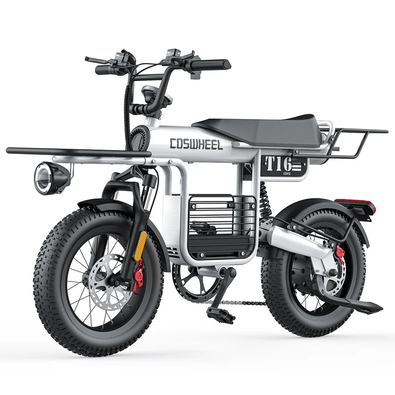 COSWHEEL T16 16" All-Terrain Electric Bike 500W Motor 48V 20Ah Battery