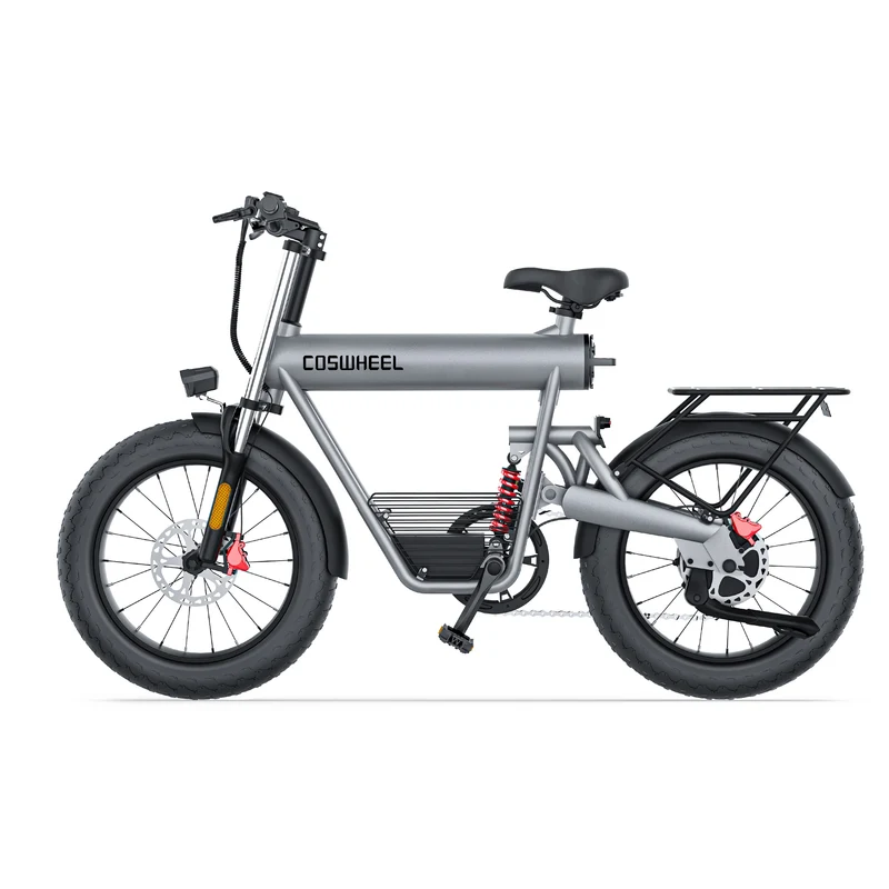 COSWHEEL T20 20" Off Road Electric Bike 1000W Motor 48V 20Ah Battery