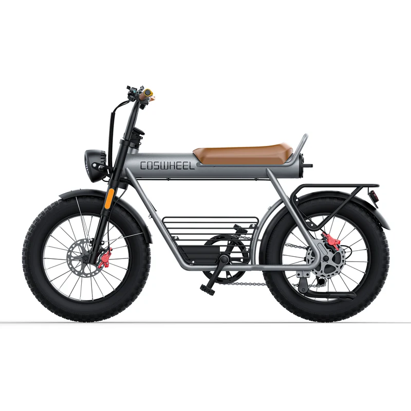 COSWHEEL CT20 20" Off Road Electric Bike 1000W Motor 48V 25Ah Battery