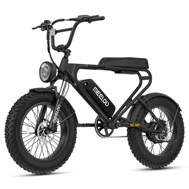 MEELOD DK200 20" Retro Moped Style Electric Bike 750W Motor 48V 13Ah Battery (CA Version)